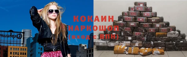 ешки Алексин