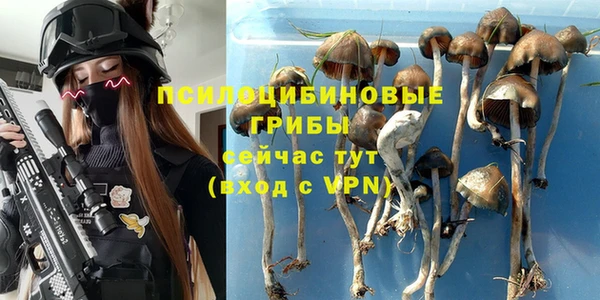 дживик Алзамай