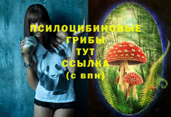 дживик Алзамай