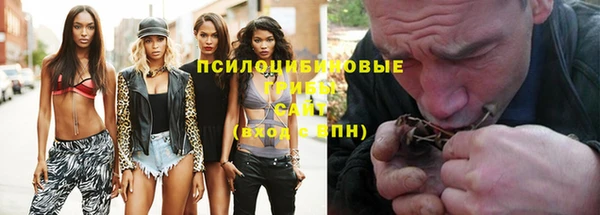 дживик Алзамай